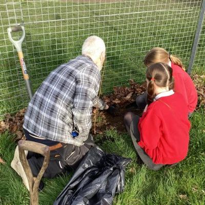 School Council Plant Trees