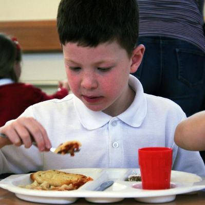 School Meals